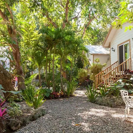 Angeli Gardens Boutique Hotel-3